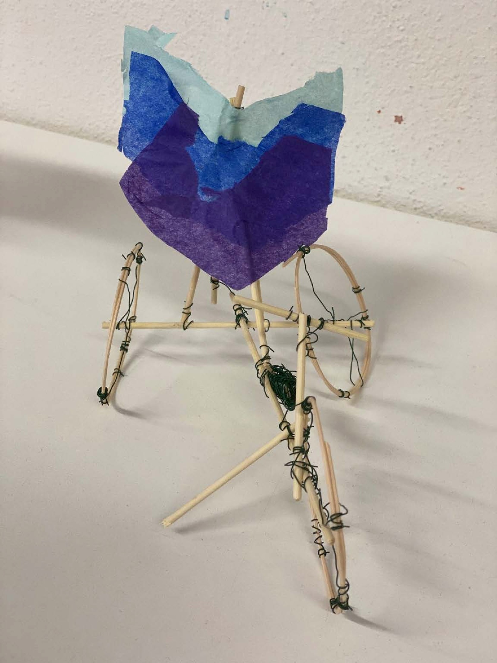 Vliegmobiel ontwerpen zoals 'L. Da Vinci' (techniek & creativiteit) - Hardenberg Baalder(veld)