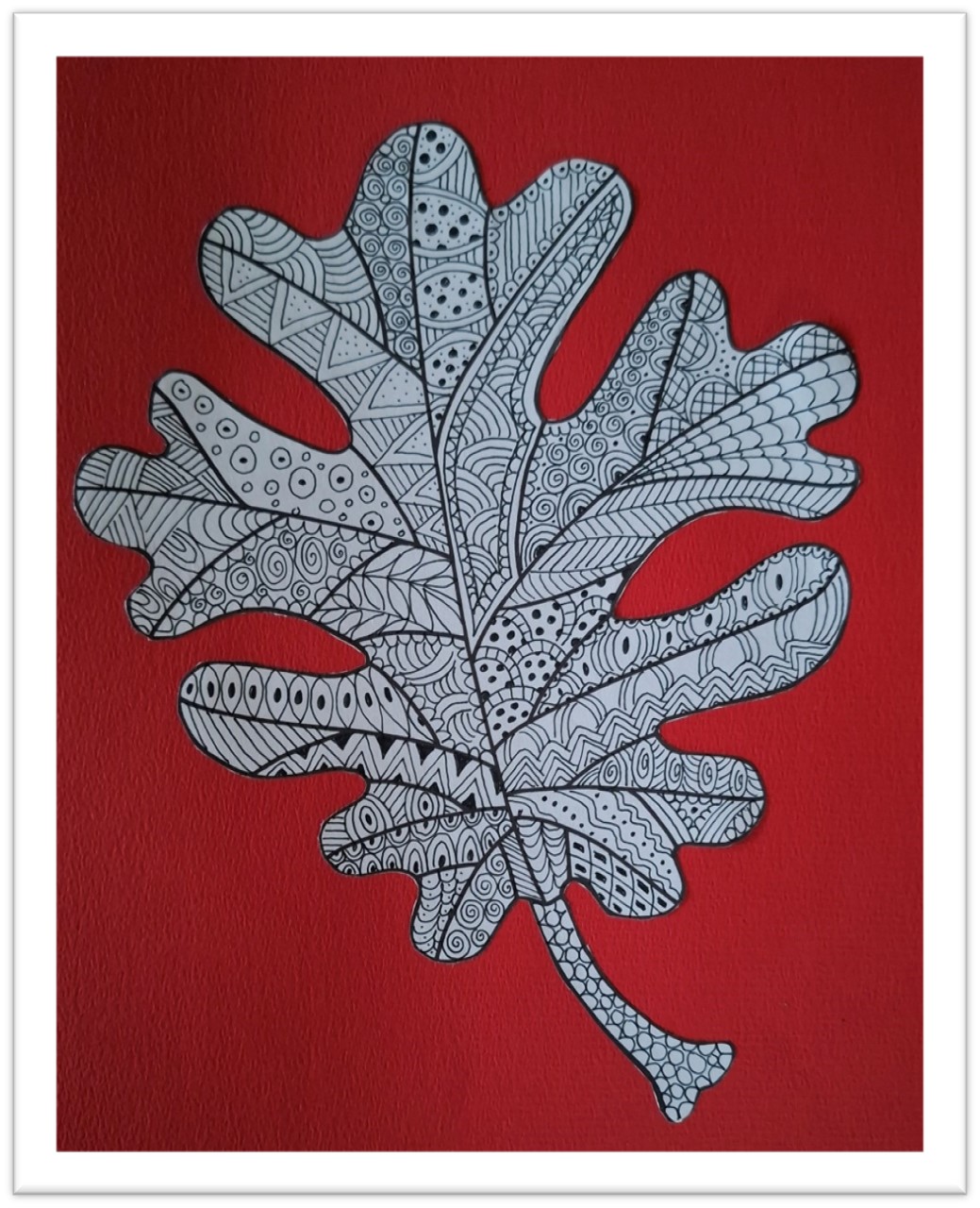 Doodle-art! - Hardenberg Baalder(veld)