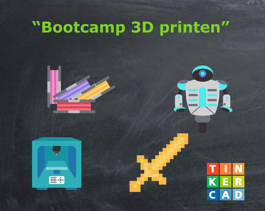 3D printen met de TinkerCAD - Dedemsvaart