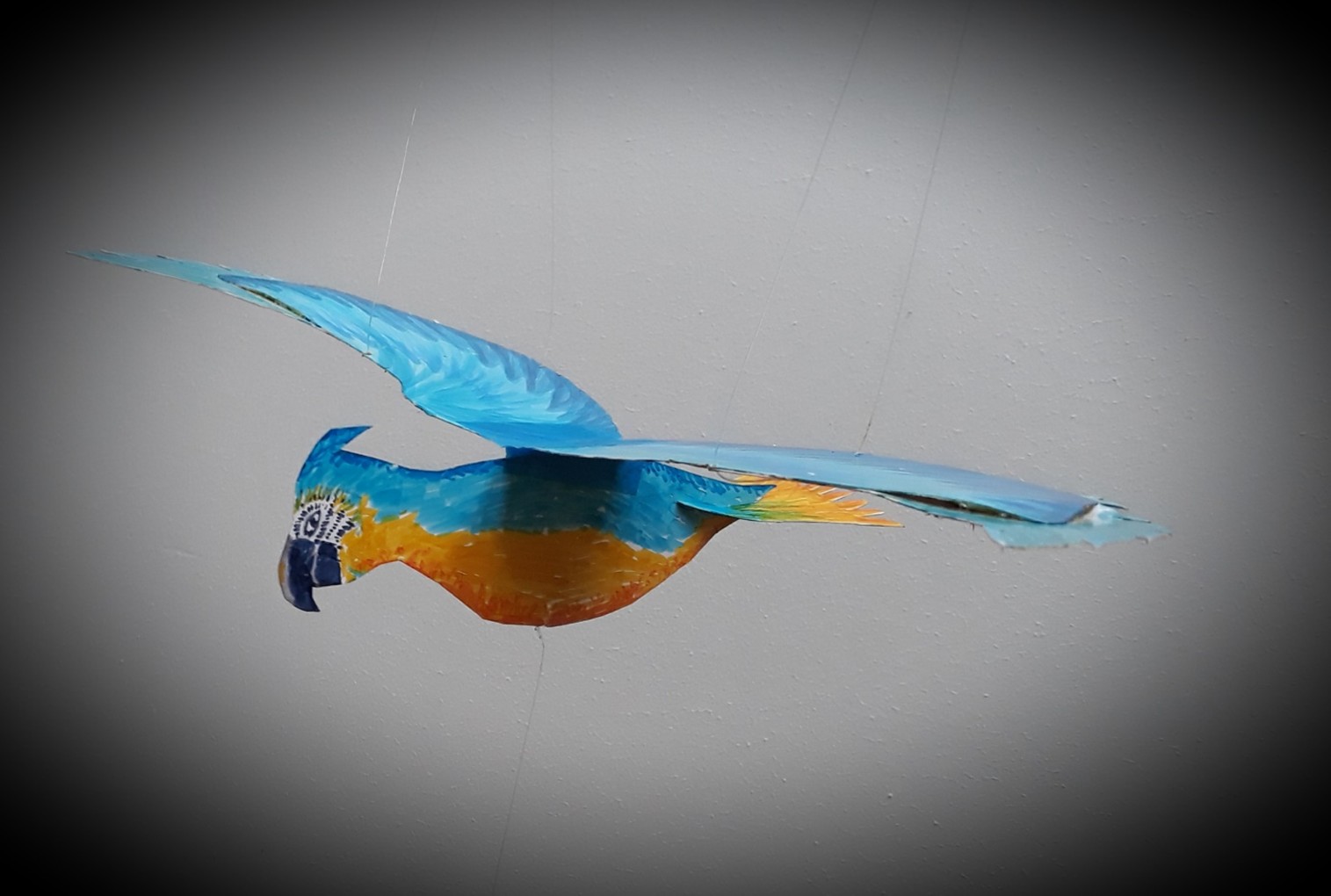 Zie ze vliegen! (ontwerp je eigen bewegende dier) - Kloosterhaar