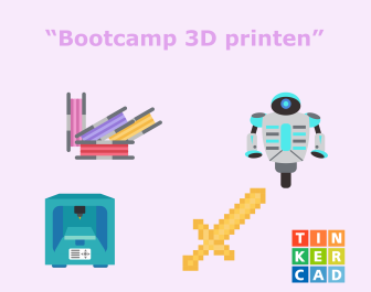 3D printen (met TinkerCAD) - Lutten