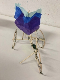 Vliegmobiel ontwerpen zoals 'L. Da Vinci' (techniek & creativiteit) - Hardenberg Baalder(veld)